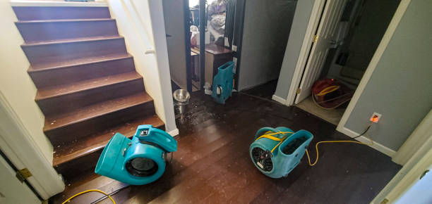 Best Local water damage restoration  in Tuscola, IL