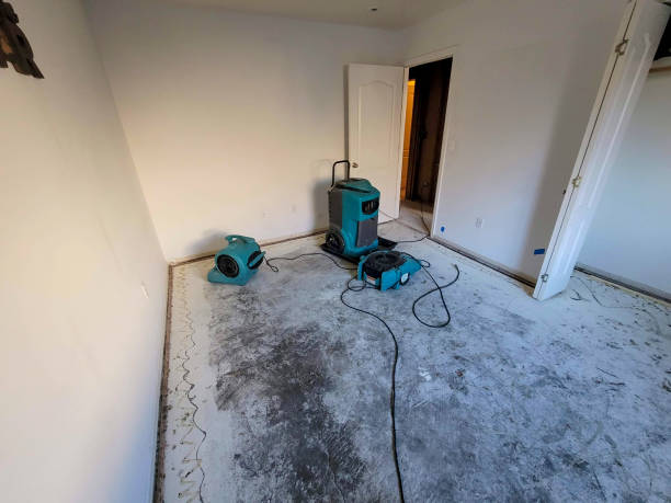 Best 24-hour water damage restoration  in Tuscola, IL
