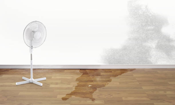 Best 24/7 water damage repair  in Tuscola, IL