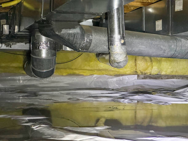 Best Ceiling water damage repair  in Tuscola, IL