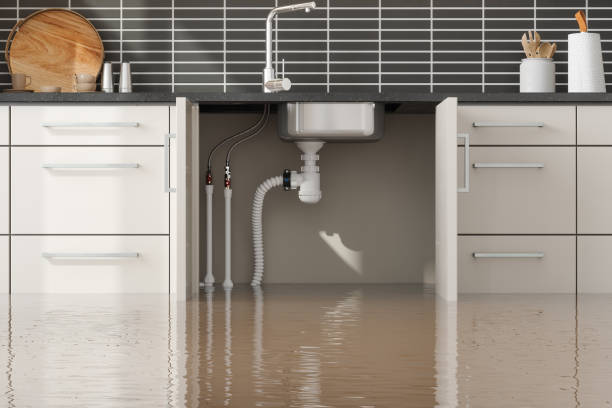 Best Professional water damage repair  in Tuscola, IL