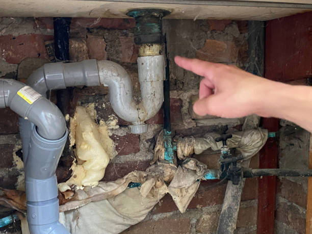 Best Sewage cleanup and water damage restoration  in Tuscola, IL