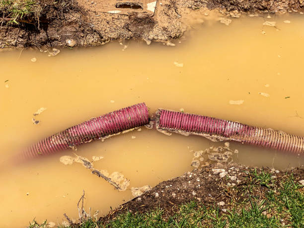 Best Water damage restoration near me  in Tuscola, IL