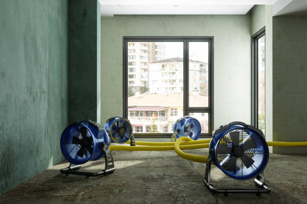 Best Water damage mitigation services  in Tuscola, IL