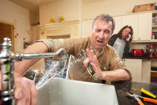 Best Water damage contractors near me  in Tuscola, IL